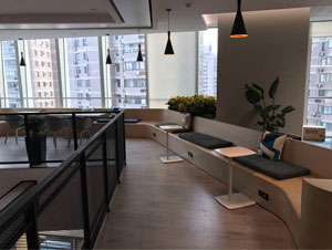 豐臺區某辦公室變葉木植物租賃案例