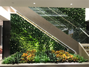 崇文區某商務樓辦公室綠植租賃案例