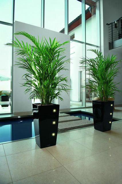 選花的技巧都有哪些？