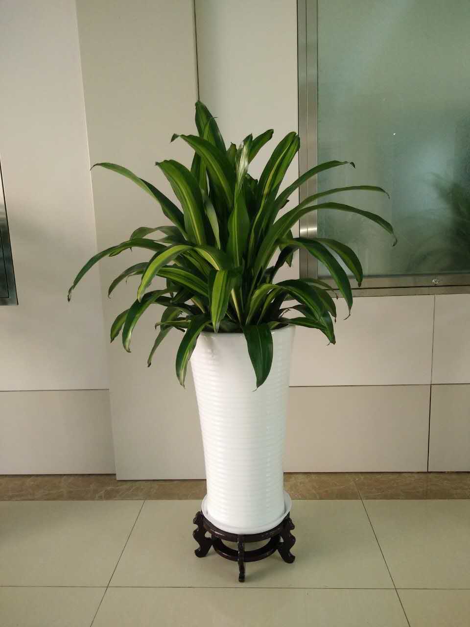 北京花卉銷(xiāo)售公司