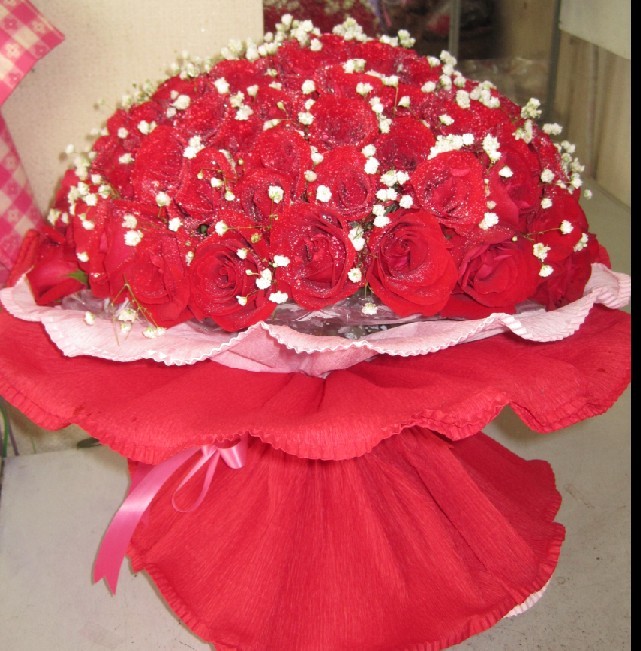 北京花卉--紅玫瑰和紅月季的區別