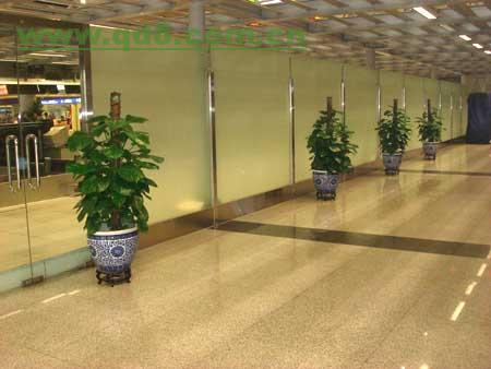 北京綠植租擺服務