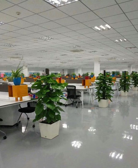 北京綠植花卉租擺公司北京綠植批發零售