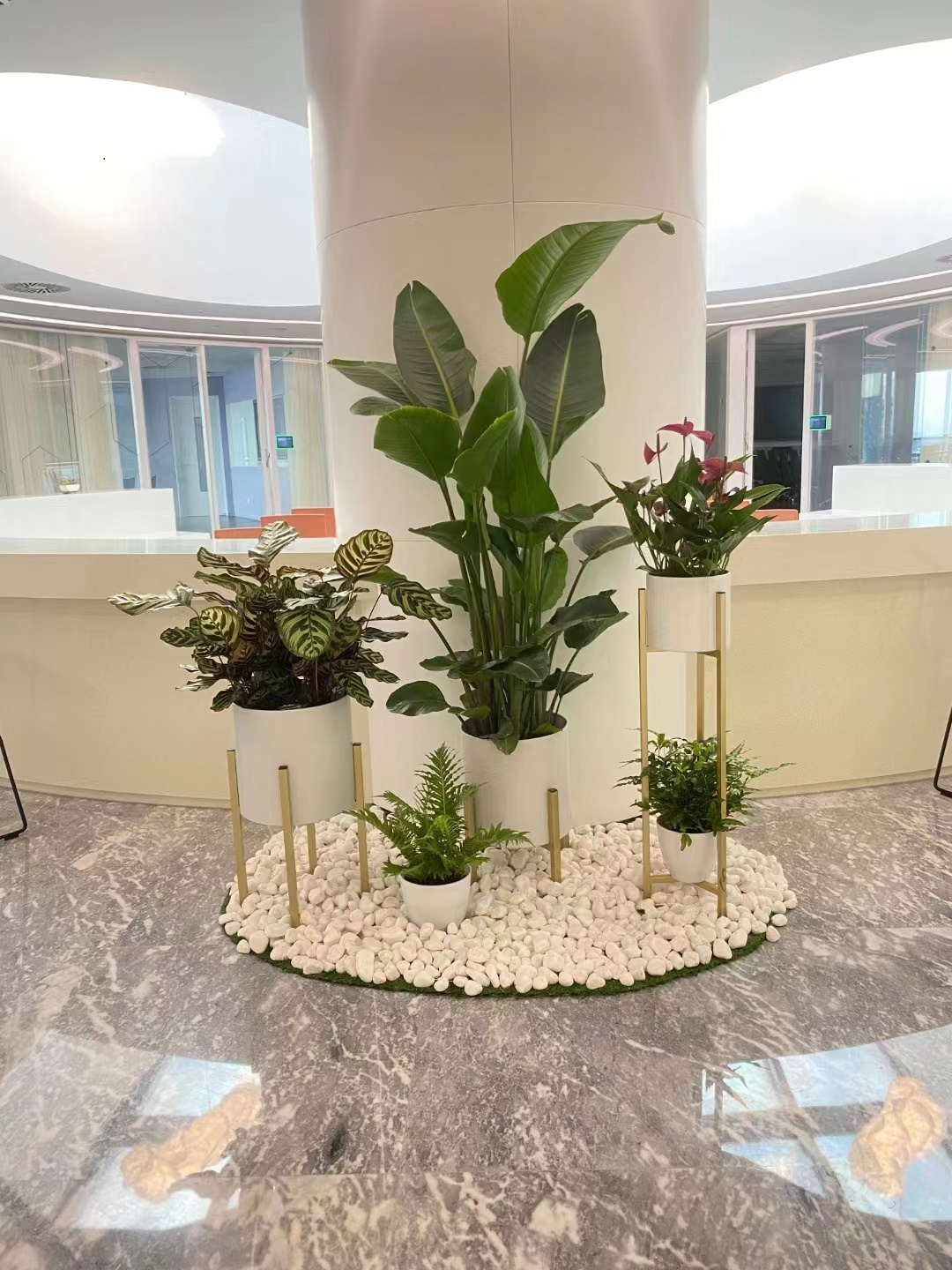 醫院花卉租擺公司