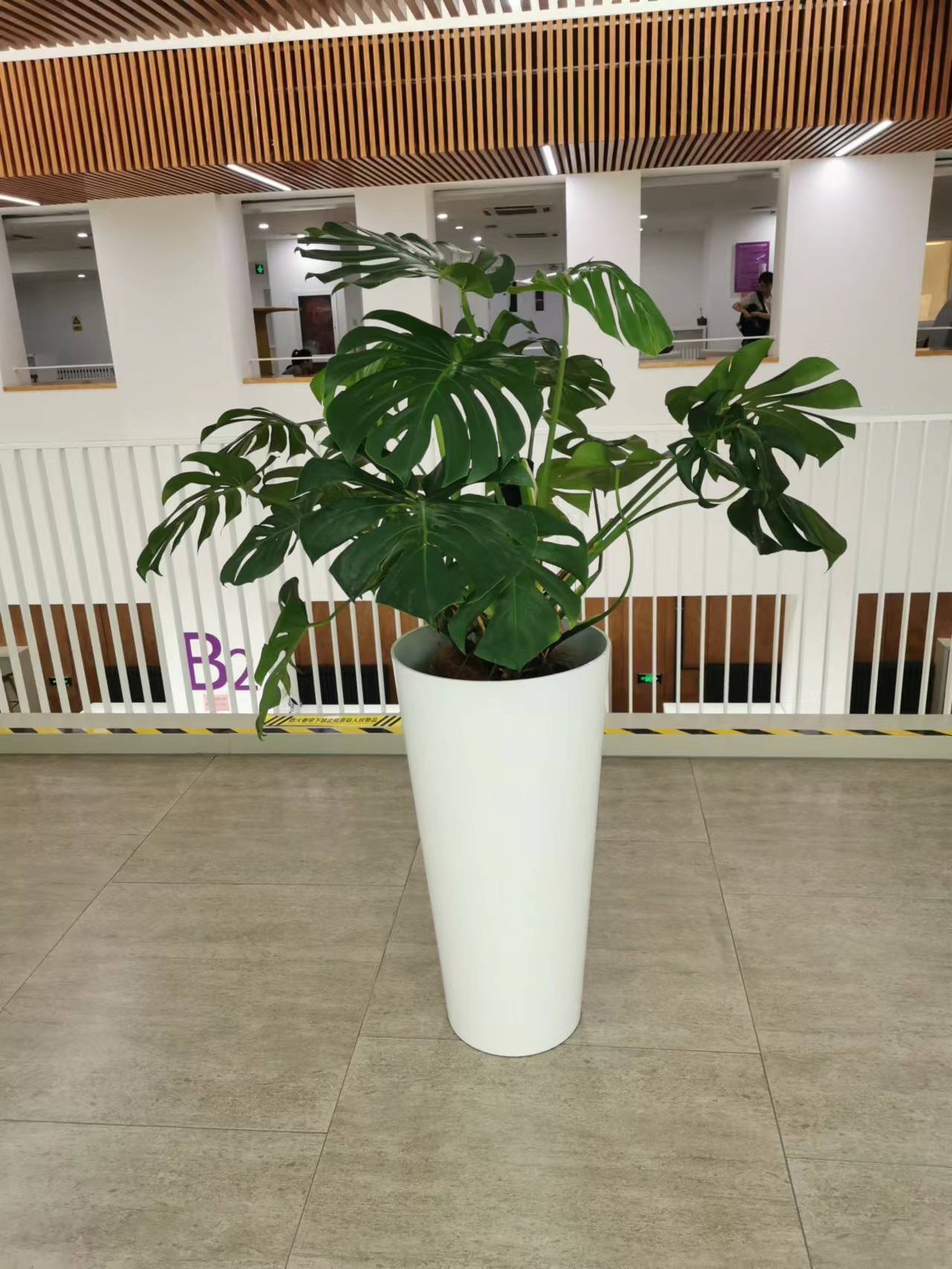 清華大學綠植花卉租擺公司