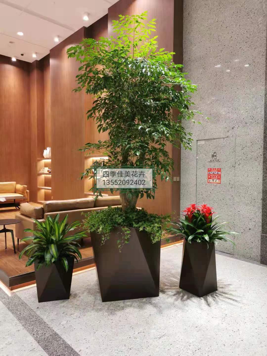 大興區辦公室花卉租擺大興區辦公室綠植租賃