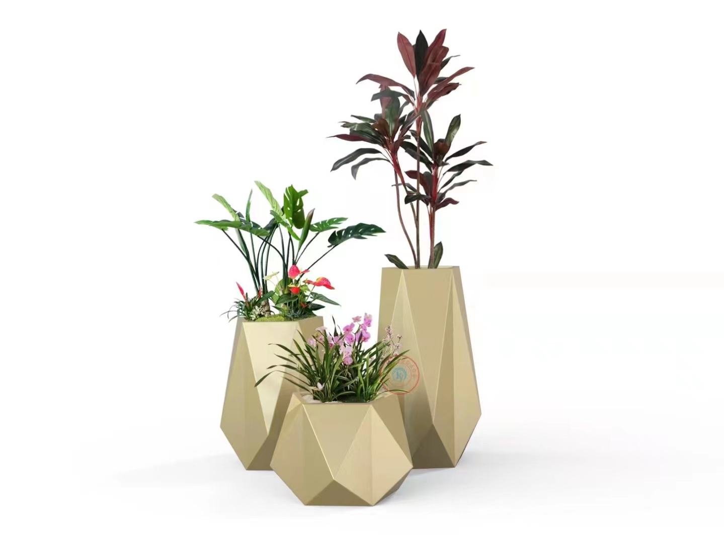 北京花卉銷售公司新手養花適合養什么花