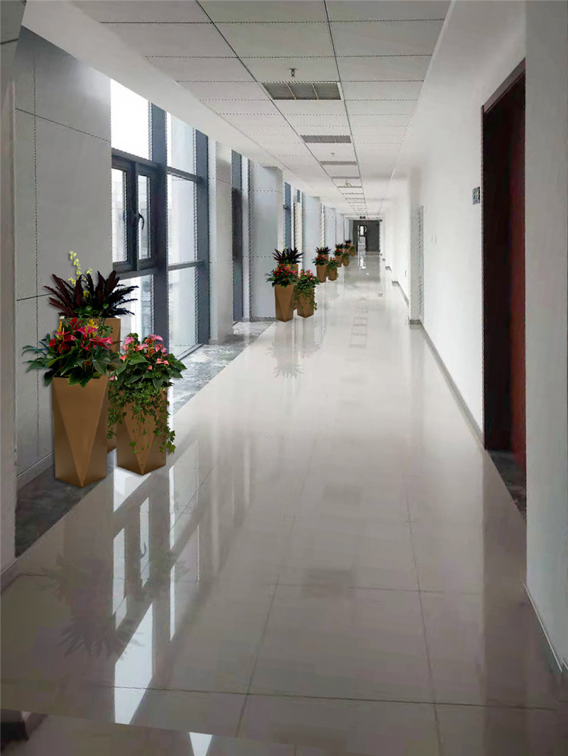 北京豐臺區花卉綠植出租公司