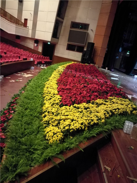 北京花卉植物菊花的種植簡單，記住這4點，開花更大