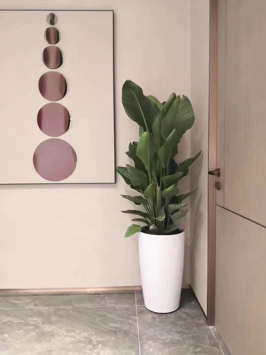 北京辦公室綠植租擺養護公司