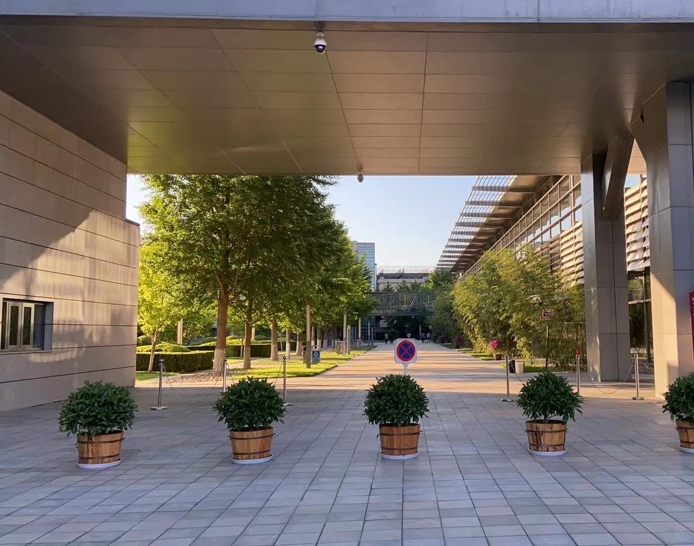 海淀區植物租擺公司海淀區寫字樓租花公司