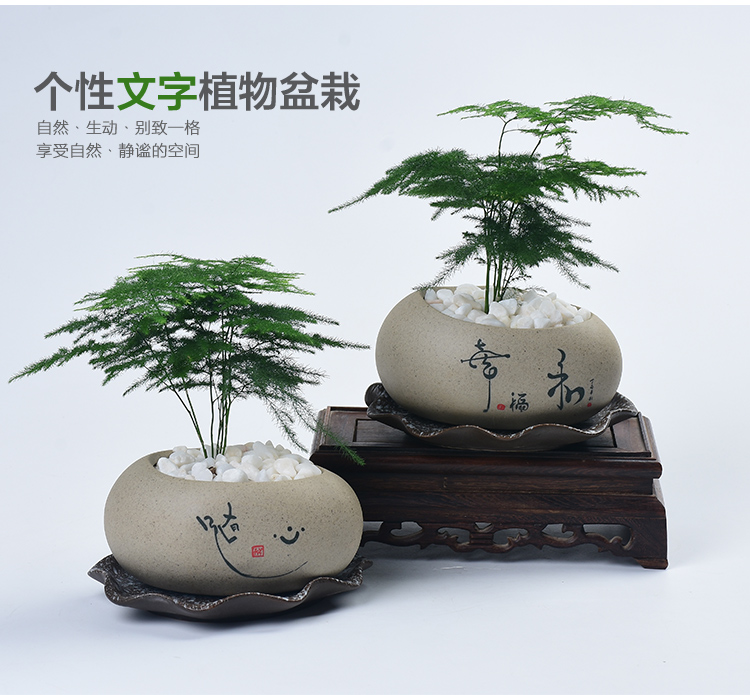 北京辦公室寫字樓室內綠化服務流程