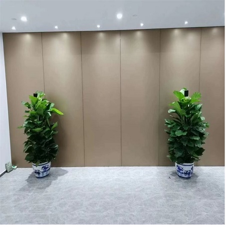 綠蘿的養護知識