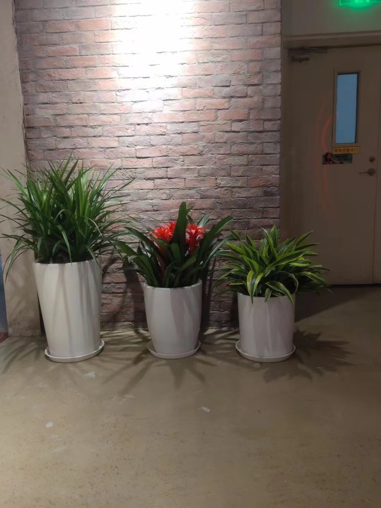 北京花卉租擺大興區花卉租擺公司亦莊經濟技術開發區綠植租擺公司