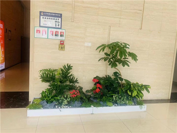 北京大興區綠植租擺公司亦莊辦公室綠植租賃園林綠化