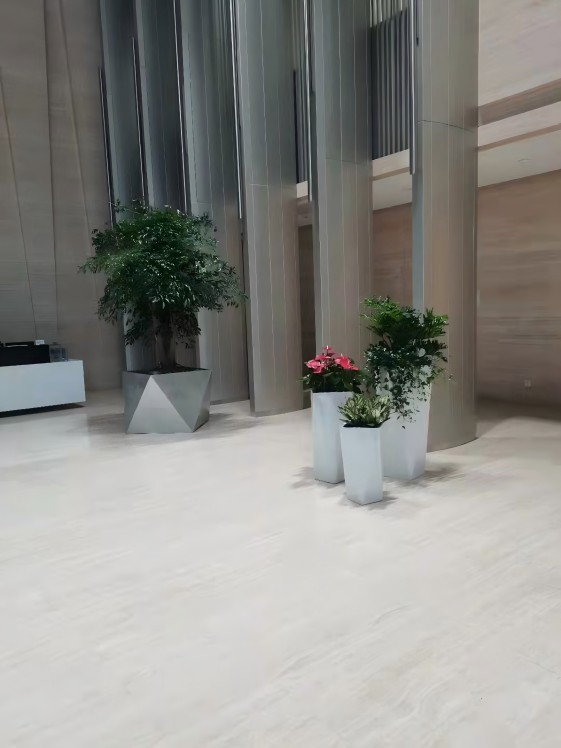 寫字樓辦公室綠植租擺公司