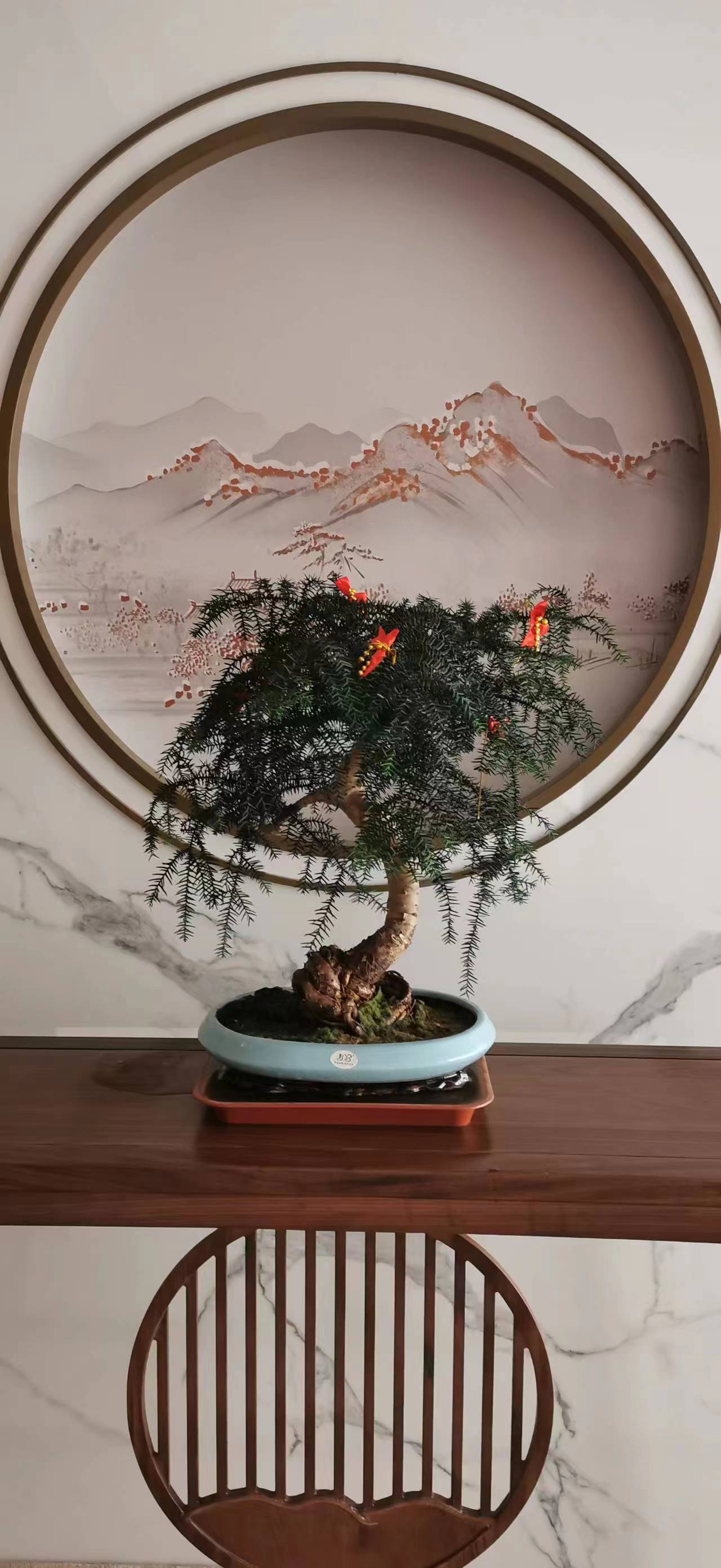 寫字樓綠植租賃花卉租擺朝陽區綠植租擺公司，